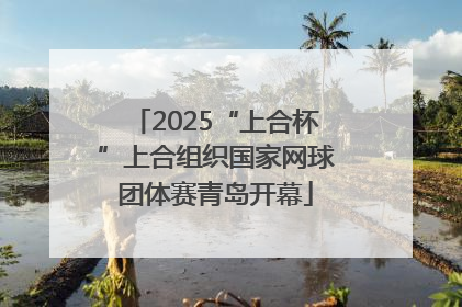 2025“上合杯”上合组织国家网球团体赛青岛开幕